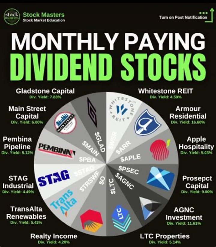 How is the dividend policy affected by taxes?