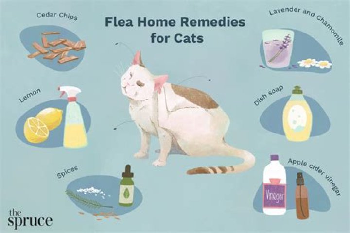 How long after bath can I apply flea medicine?