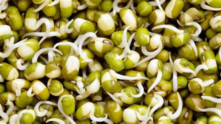 How long boil bean sprouts?