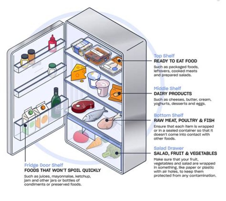 How long can you leave food in the fridge without power?