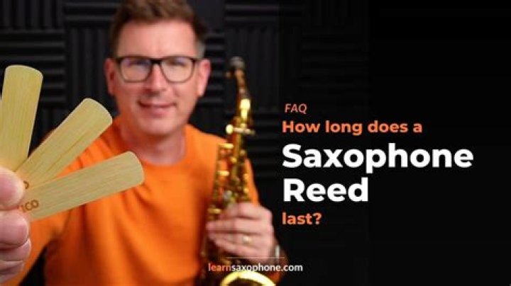 How long do pads last on a saxophone?