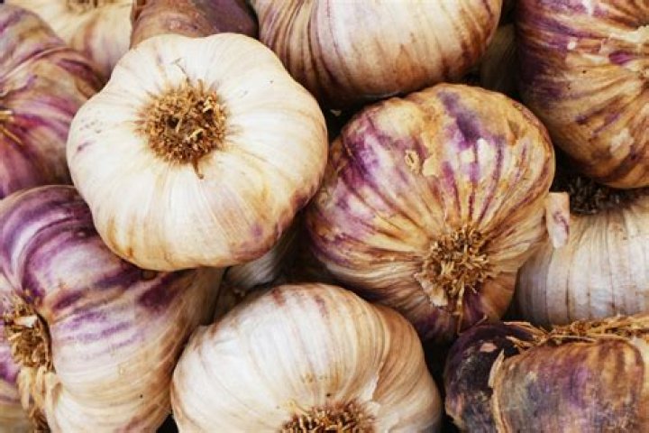 How long does garlic confit last?