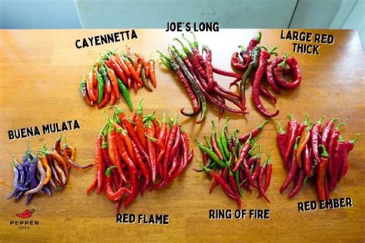 How long does it take jalapenos to turn red?