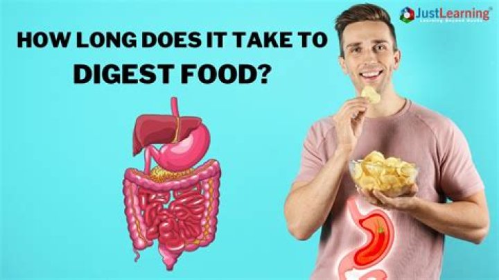 How long does it take to digest corn?