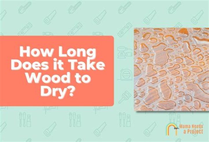 How long does Osmo oil take to dry?