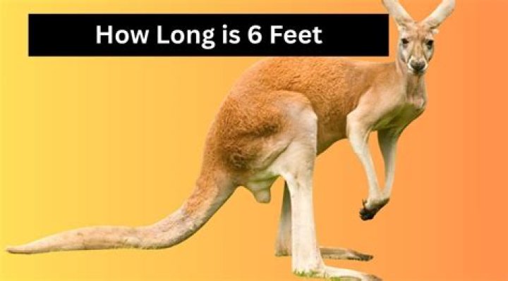 How long is El Norte?