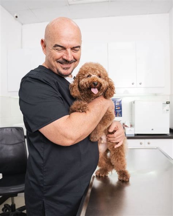 How long should my dog wear the cone after being neutered?