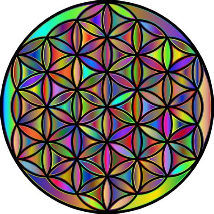 How many circles does the flower of life have?