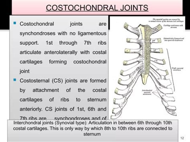 How many Costochondral joints are there?