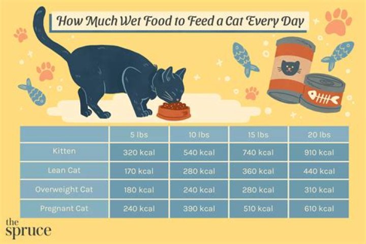 How many cups of food should a husky eat?