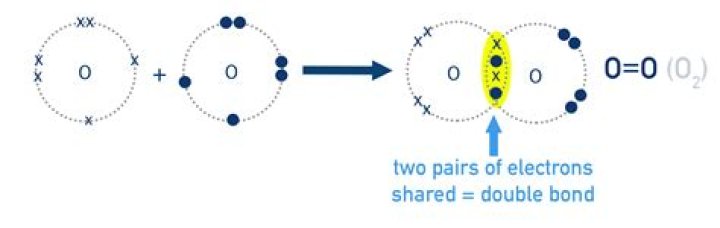 How many electrons are shared in a single bond double bond triple bond?