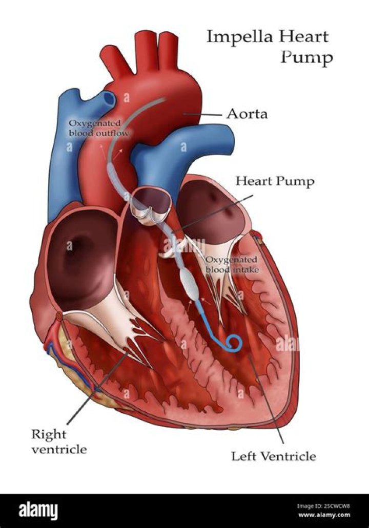 How many gallons of blood does the heart pump a day?