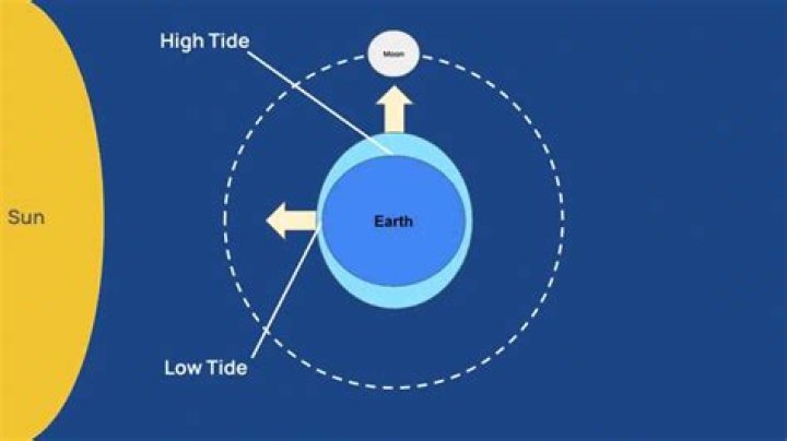 How many high tides are observed most days at most seaports on earth?