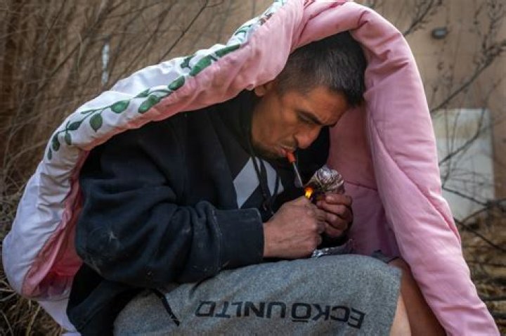 How many homeless people die of hunger?