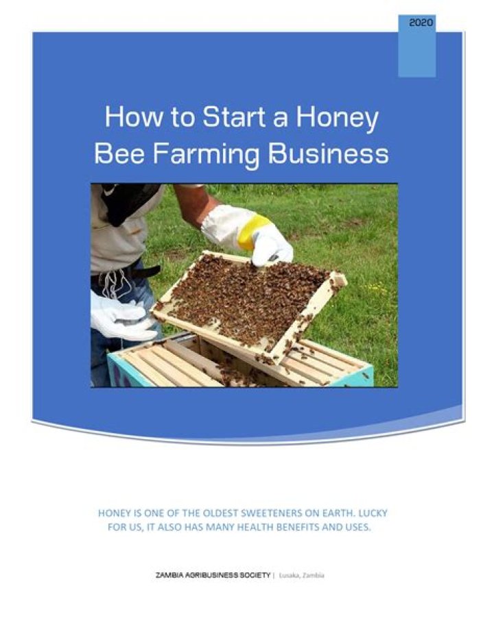 How many honey bees live in a colony?