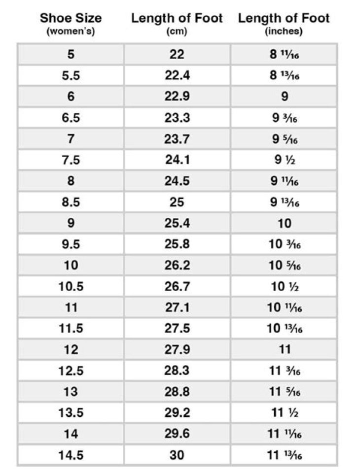 How many inches is a size 11 shoe?