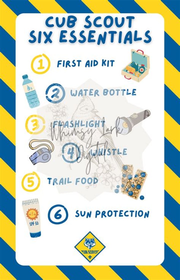 How many items make up the essentials of a successful chapter?