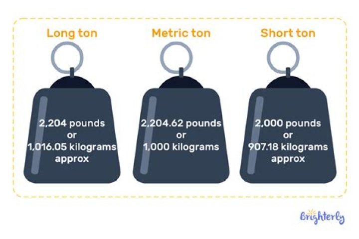 How many Newtons are in a metric ton?