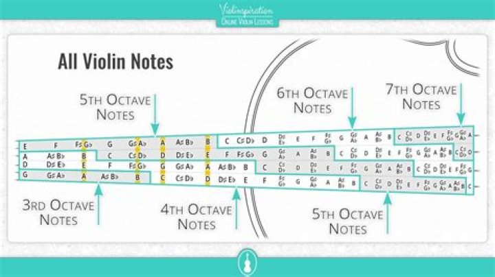 How many notes can violin play at once?