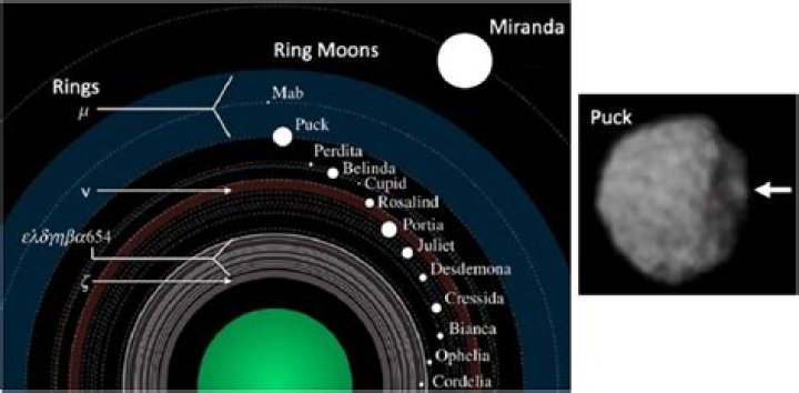 How many rings Uranus have?