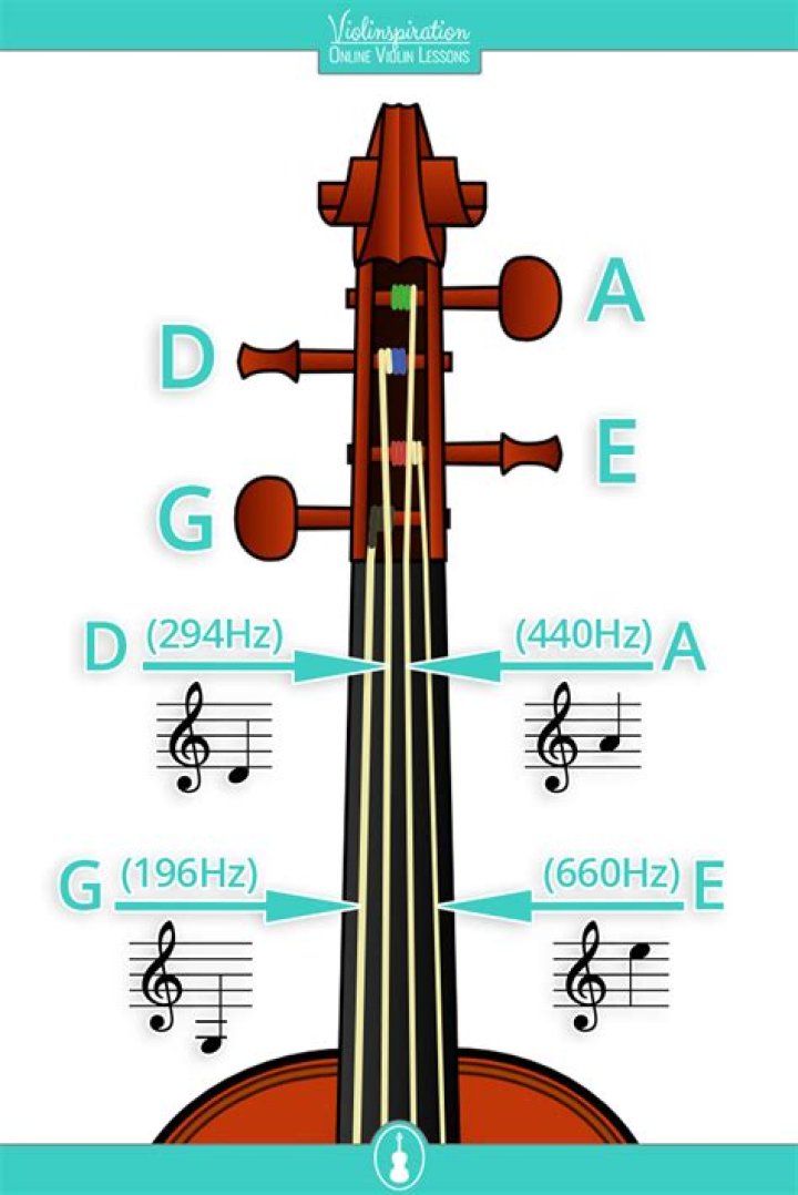 How many strings does a Pentachord have?
