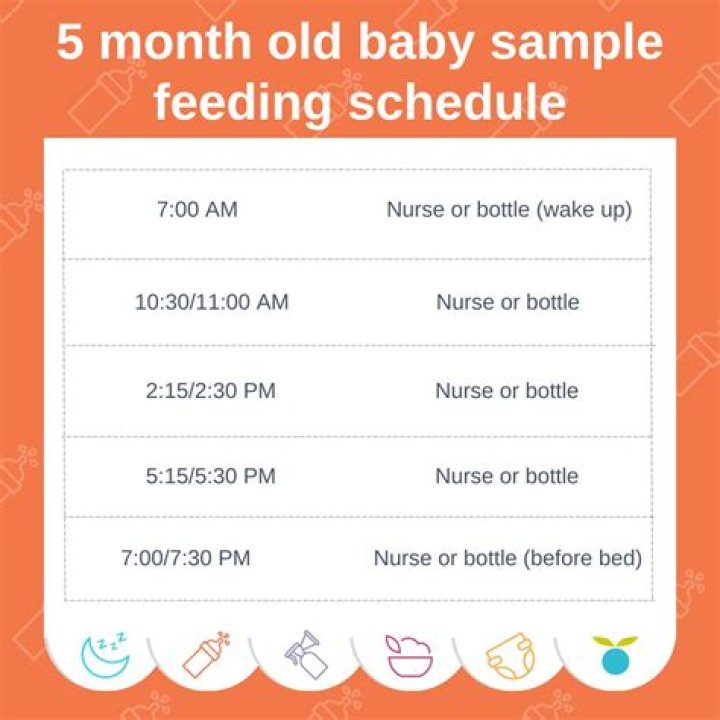 How many times a night should a 5 month old feed?
