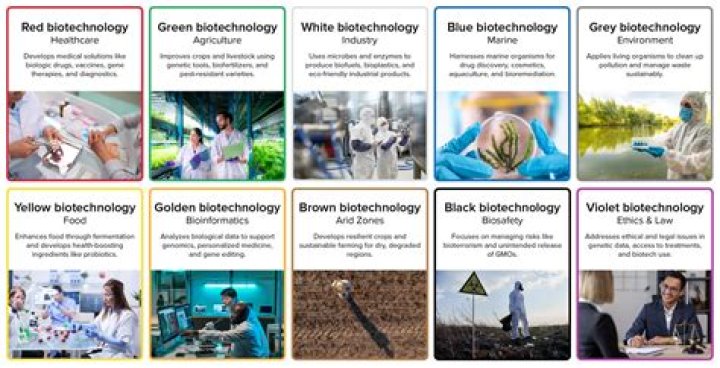 How many years of college do you need to be a biotechnologist?
