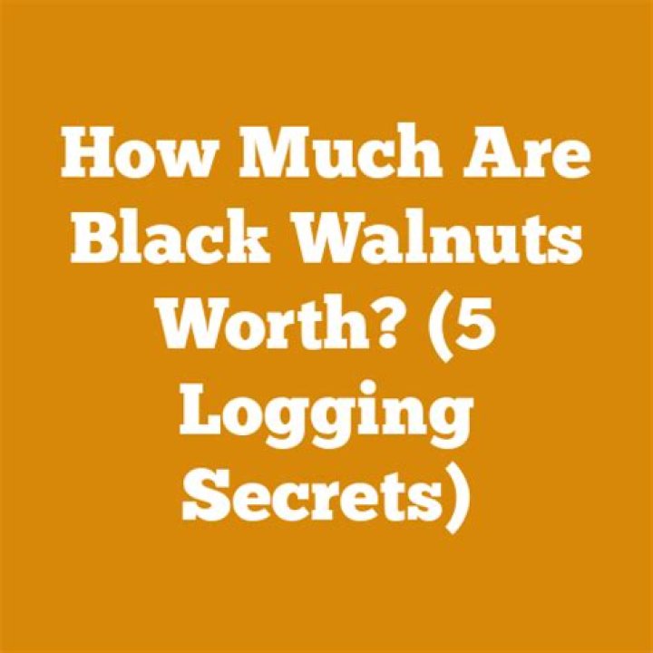 How much are black walnuts worth?