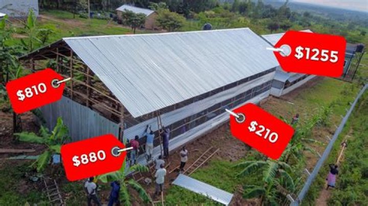 How much do chicken farmers make per house?