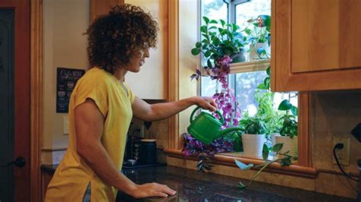 How much do garden windows cost?