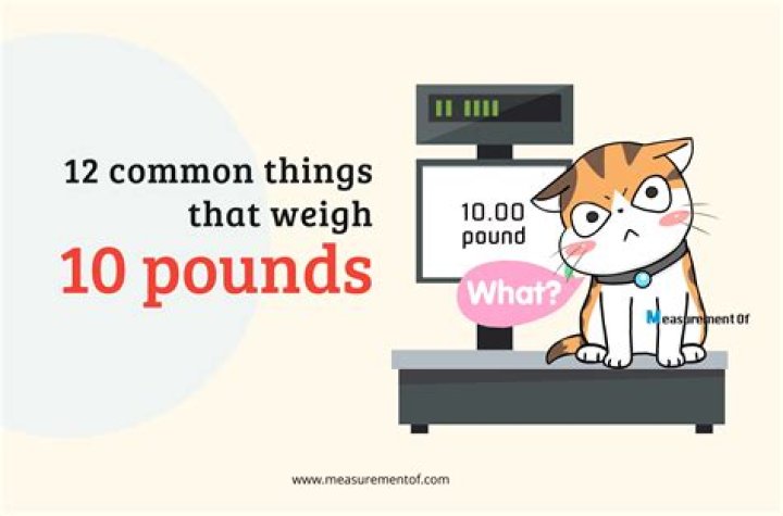 How much does a pencil case weigh in pounds?