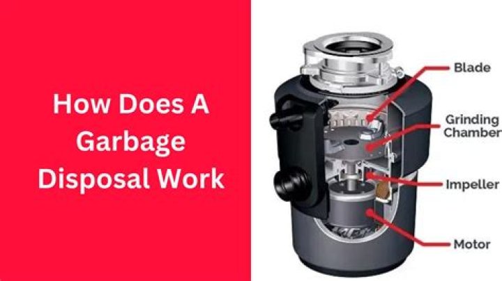 How much does fixing a garbage disposal cost?
