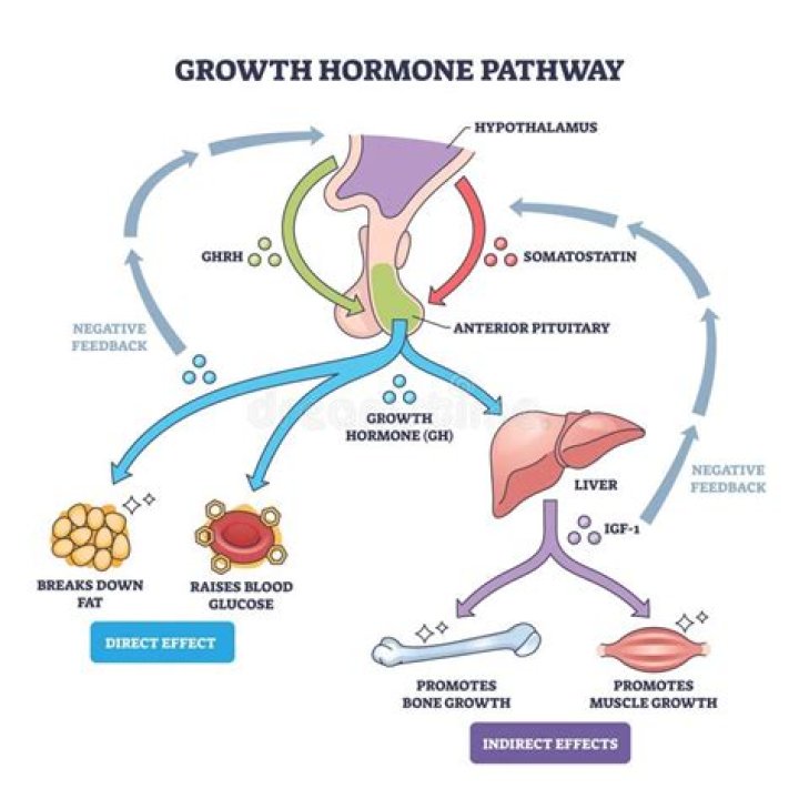 How much does growth hormone therapy cost?