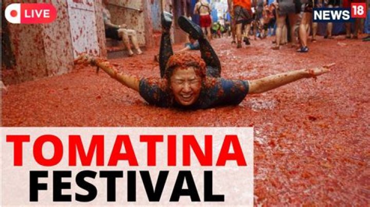 How much does it cost to participate in La Tomatina?