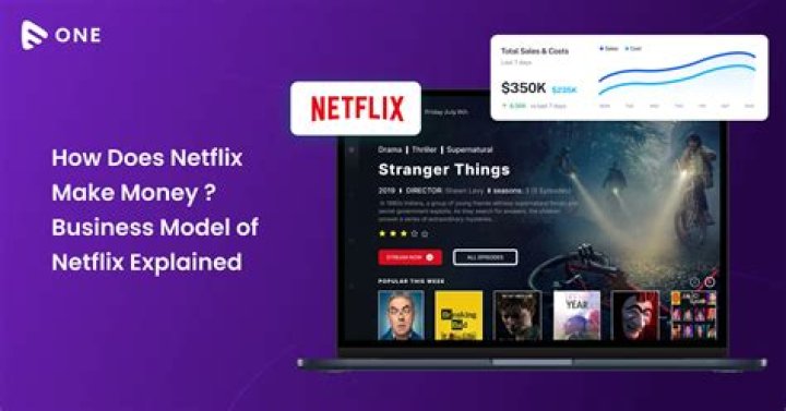 How much does Netflix DVD cost?