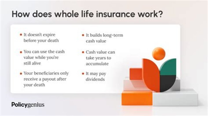 How much does whole life insurance cost?