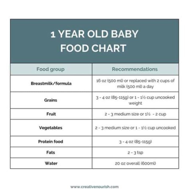 How much food should a 1 year old eat?