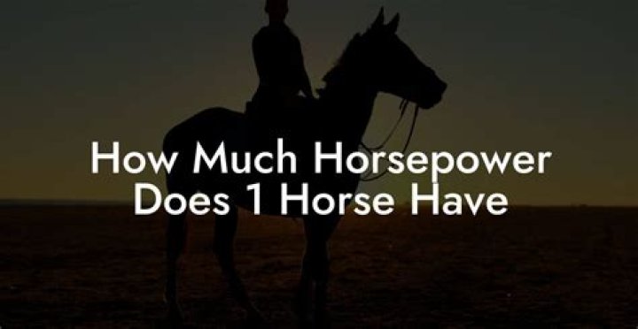 How much horsepower does a 8.1 have?