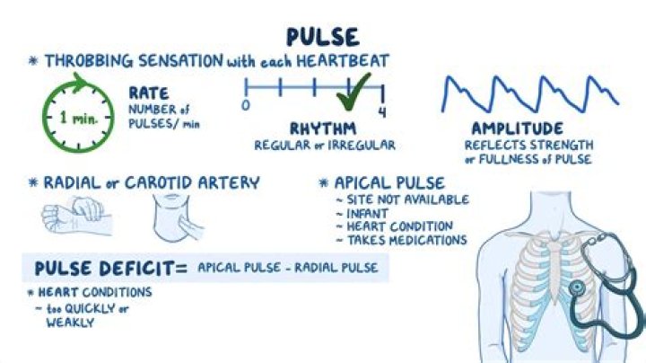 How much is ADT Pulse per month?