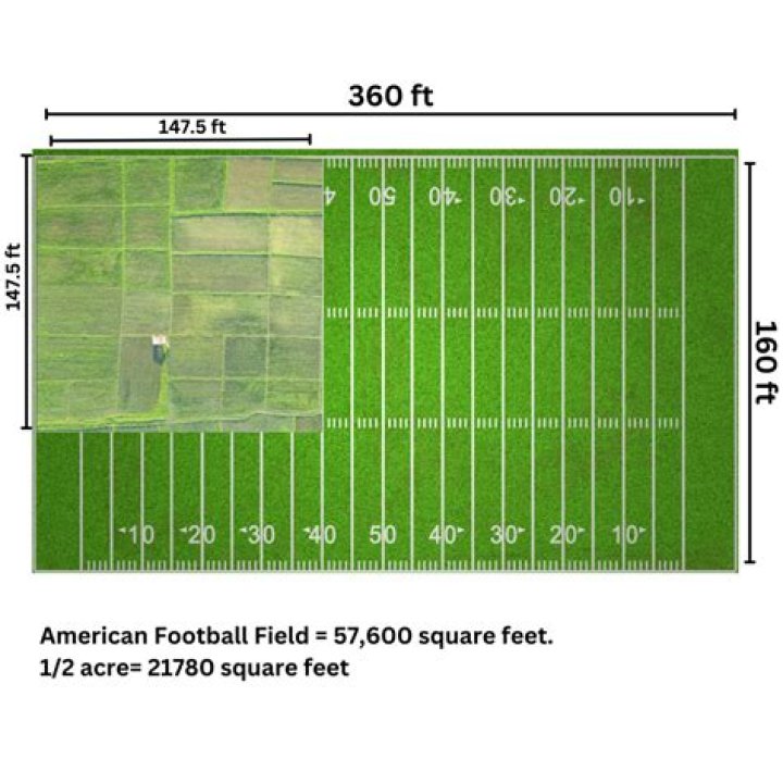 How much is an acre of land in Texas 2019?