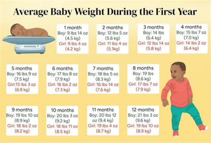 How much should 1 year old weigh?