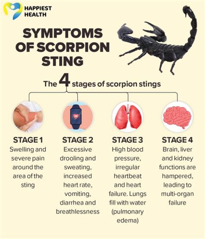 How much torpor does a scorpion do?