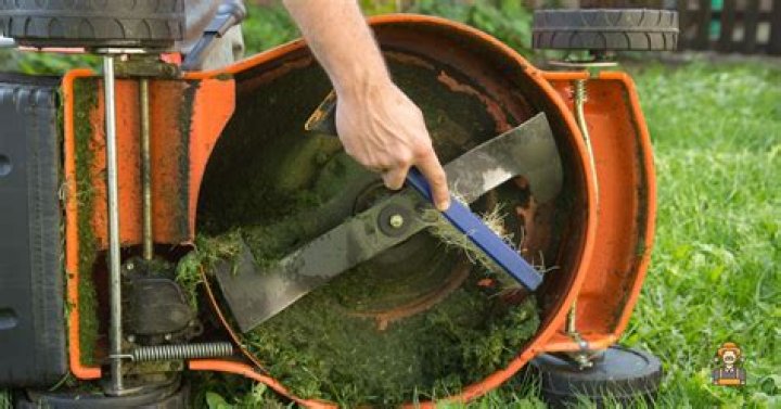 How often should you sharpen the lawn mower blades?