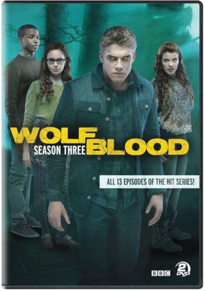 How old was Bobby Lockwood in Wolfblood?
