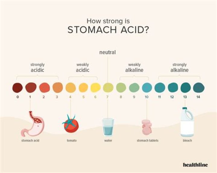 How strong is human stomach acid?