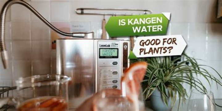 Is Aloe Vera King water good for you?