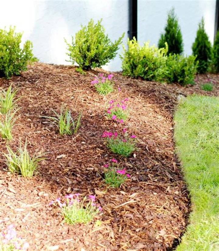 Is bark good for flower beds?