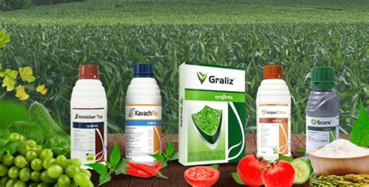 Is bleach a good fungicide?