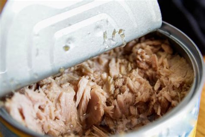 Is canned tuna kosher?