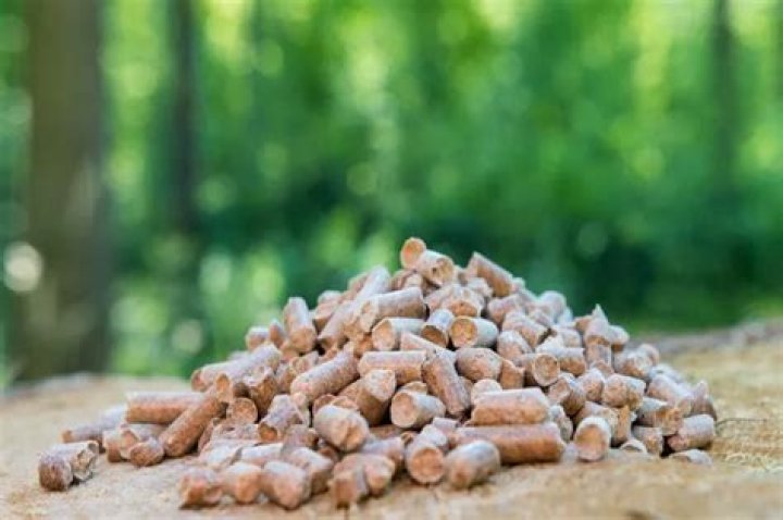 Is coal a biomass energy source?